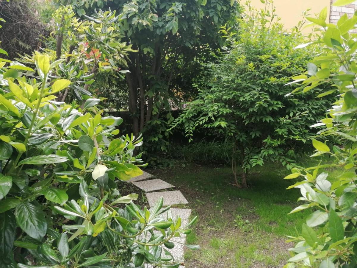 L'angolino Trento