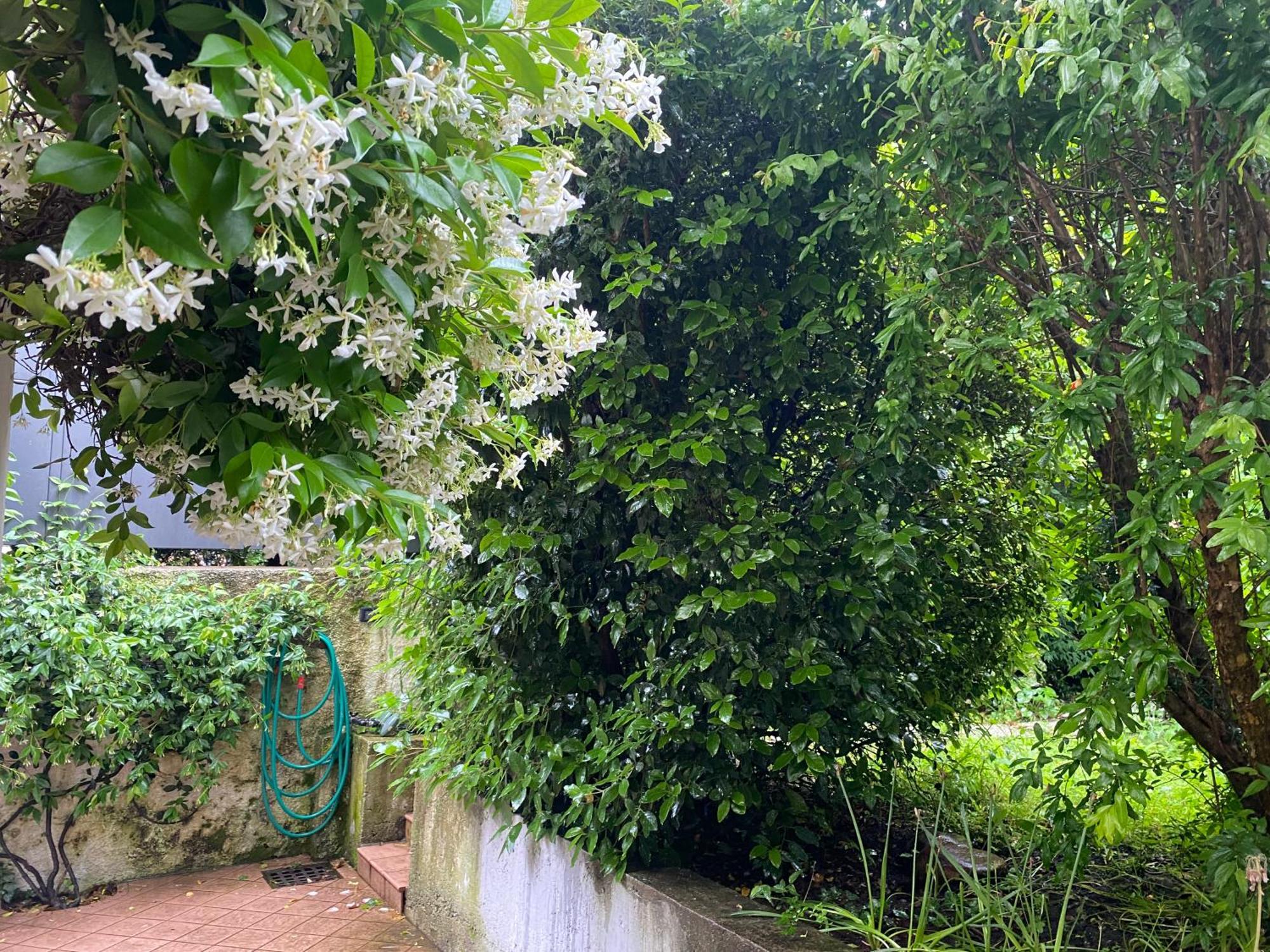 Appartement L'angolino